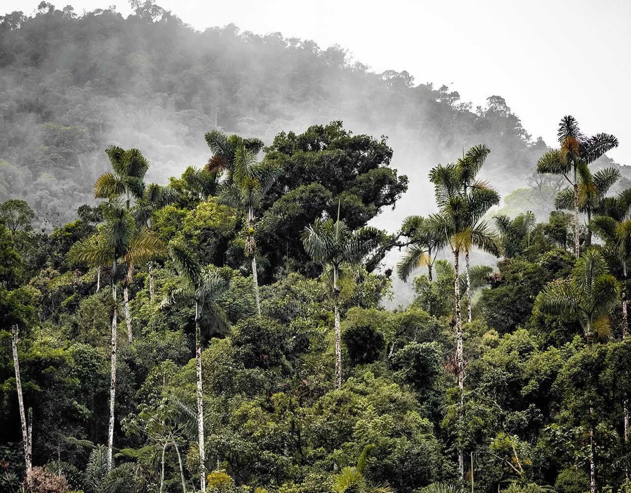 Pérou : merveilles d'Amazonie jusqu'à la Cordillère des Andes