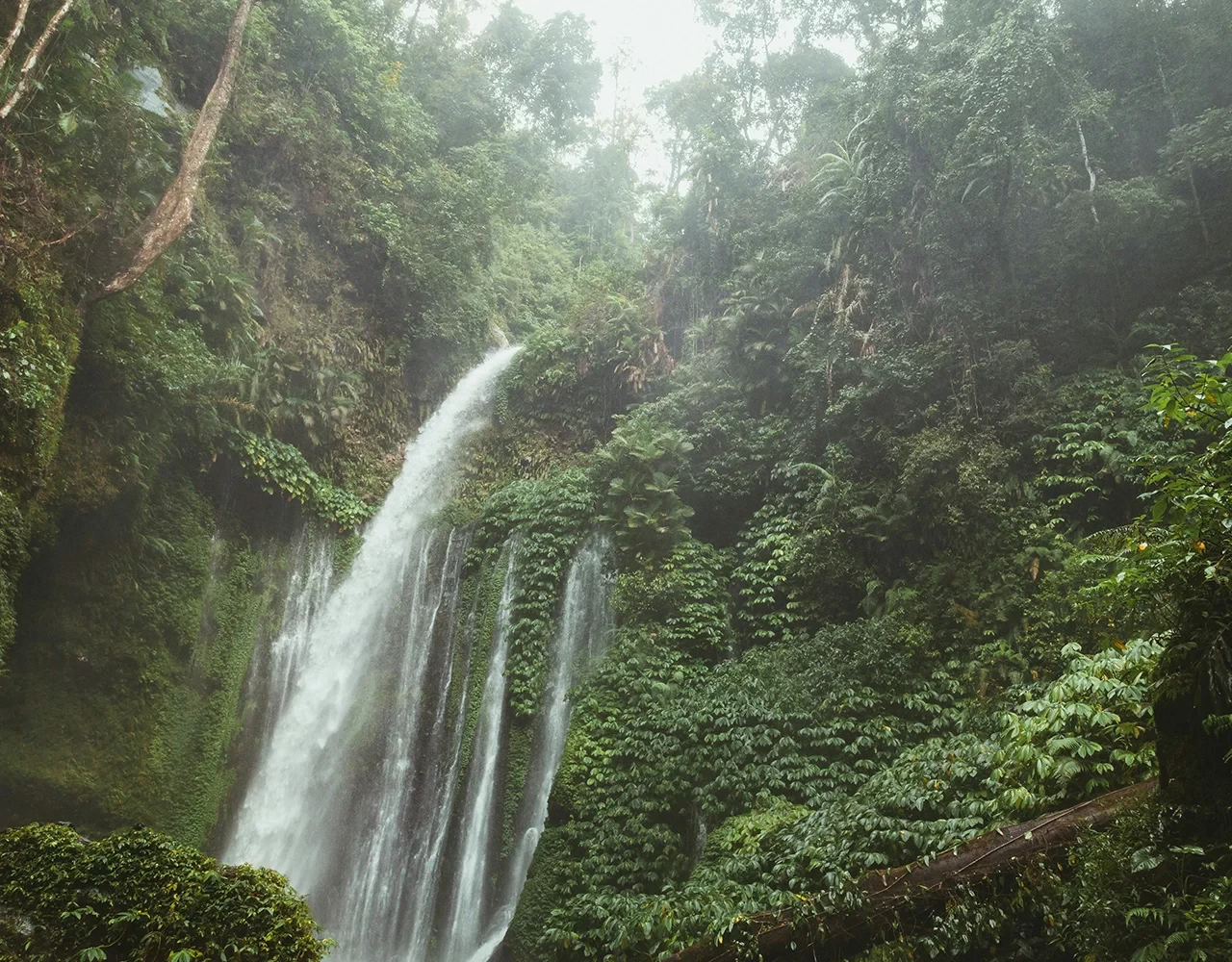 Pérou : merveilles d'Amazonie jusqu'à la Cordillère des Andes