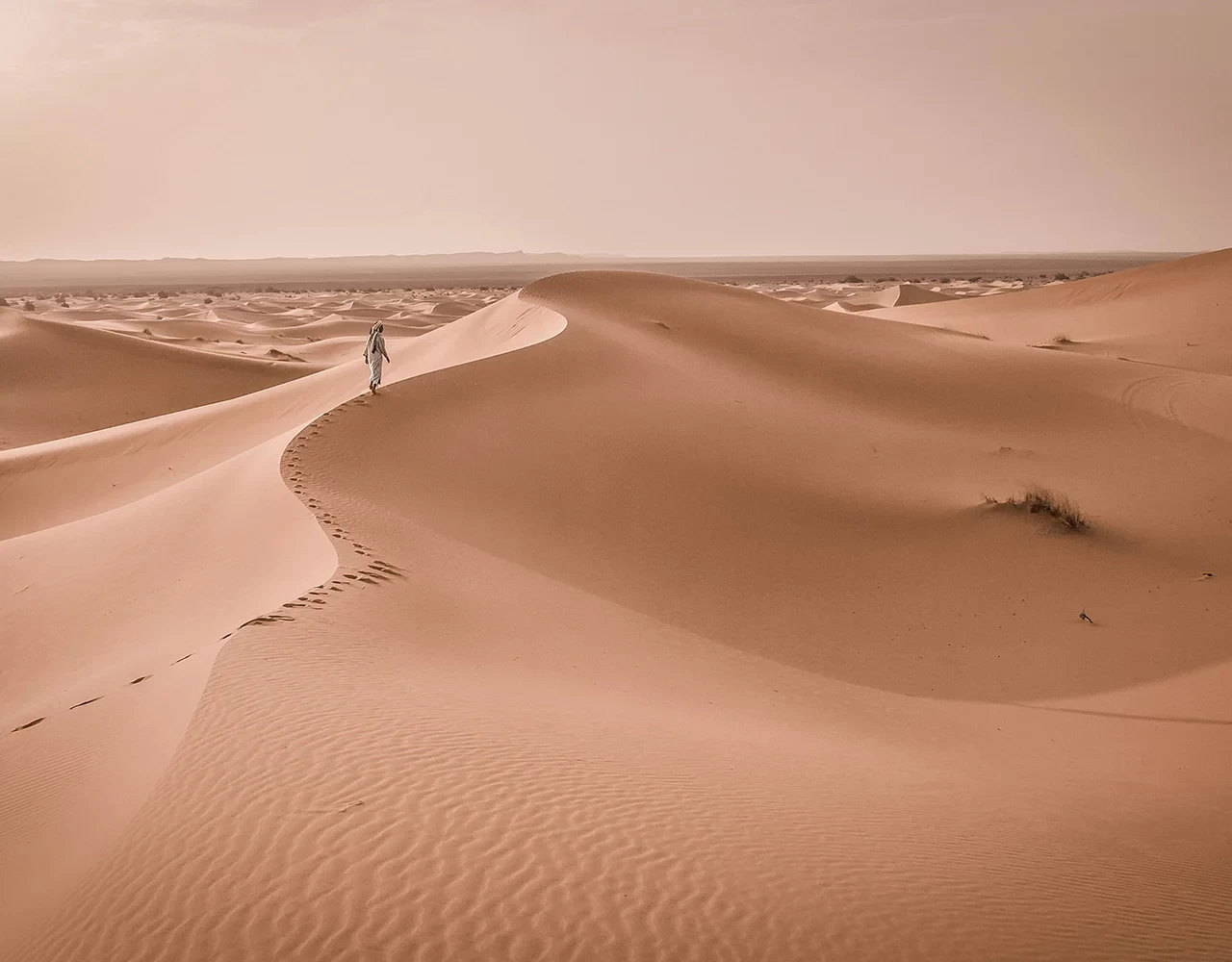 La beauté du Maroc : excursion au cœur du désert