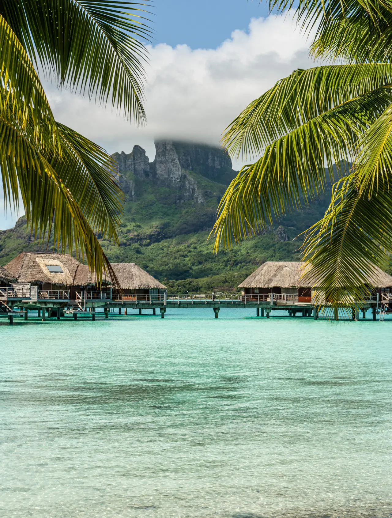 Les plus beaux lagons du monde : Bora Bora et The Brando