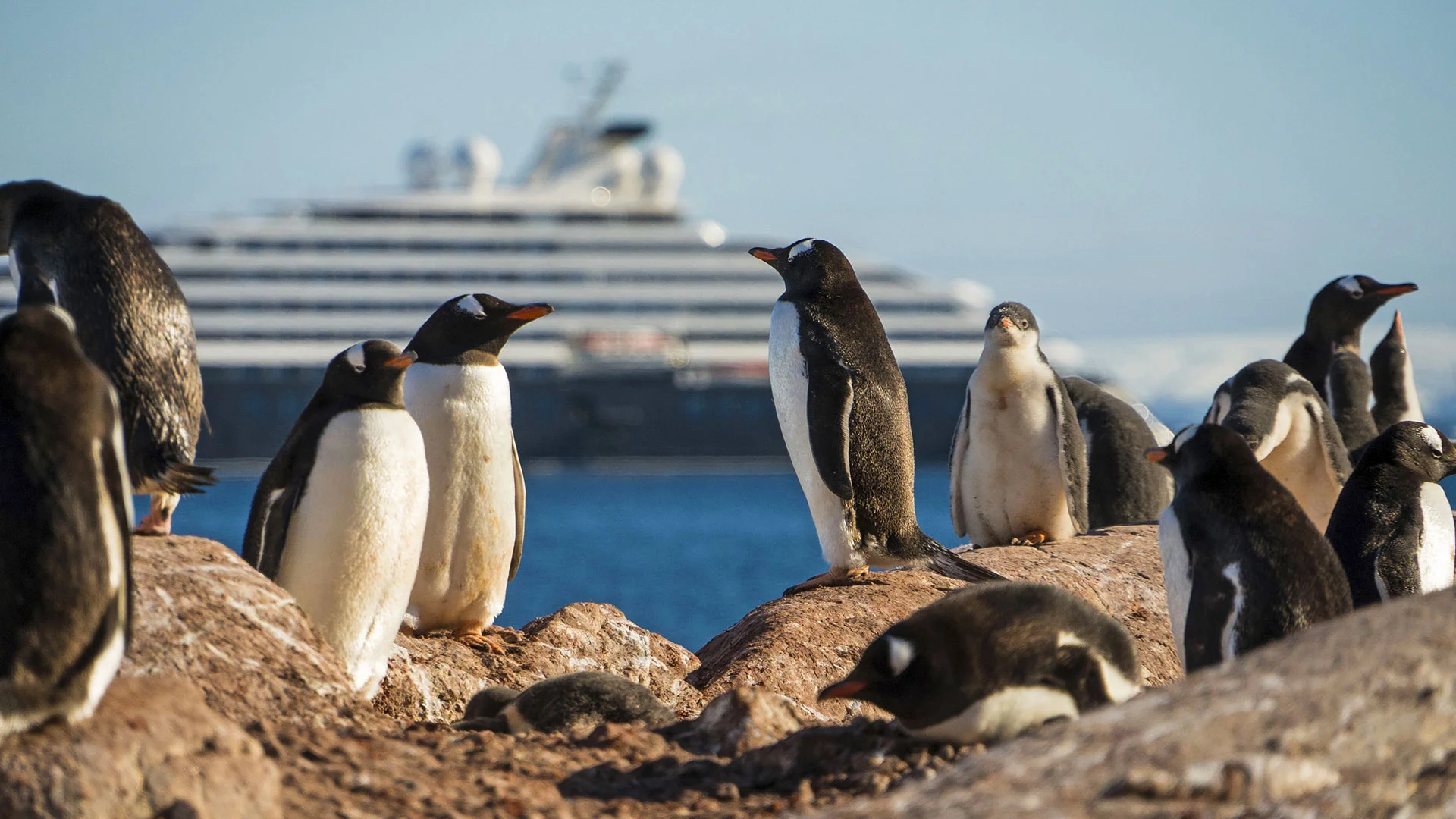 Bateau de croisière Scenic Eclipse